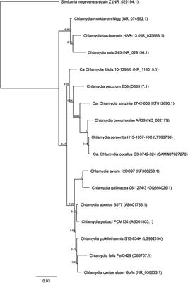 Seventy Years of Chlamydia Vaccine Research – Limitations of the Past and Directions for the Future